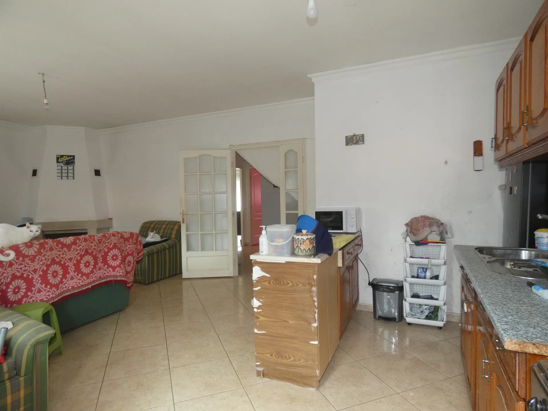 Foto 9
