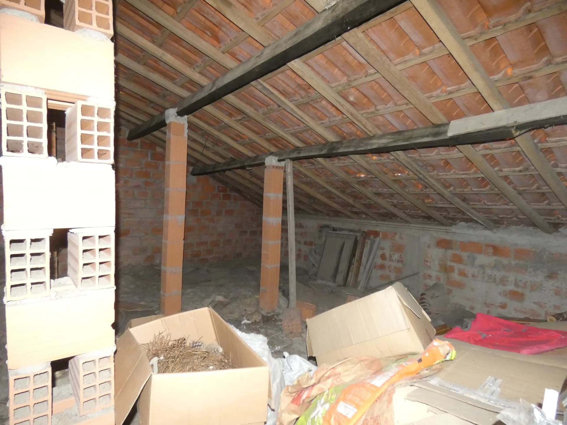 Foto 12