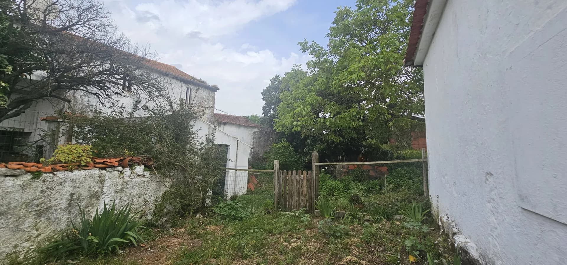 Foto 17