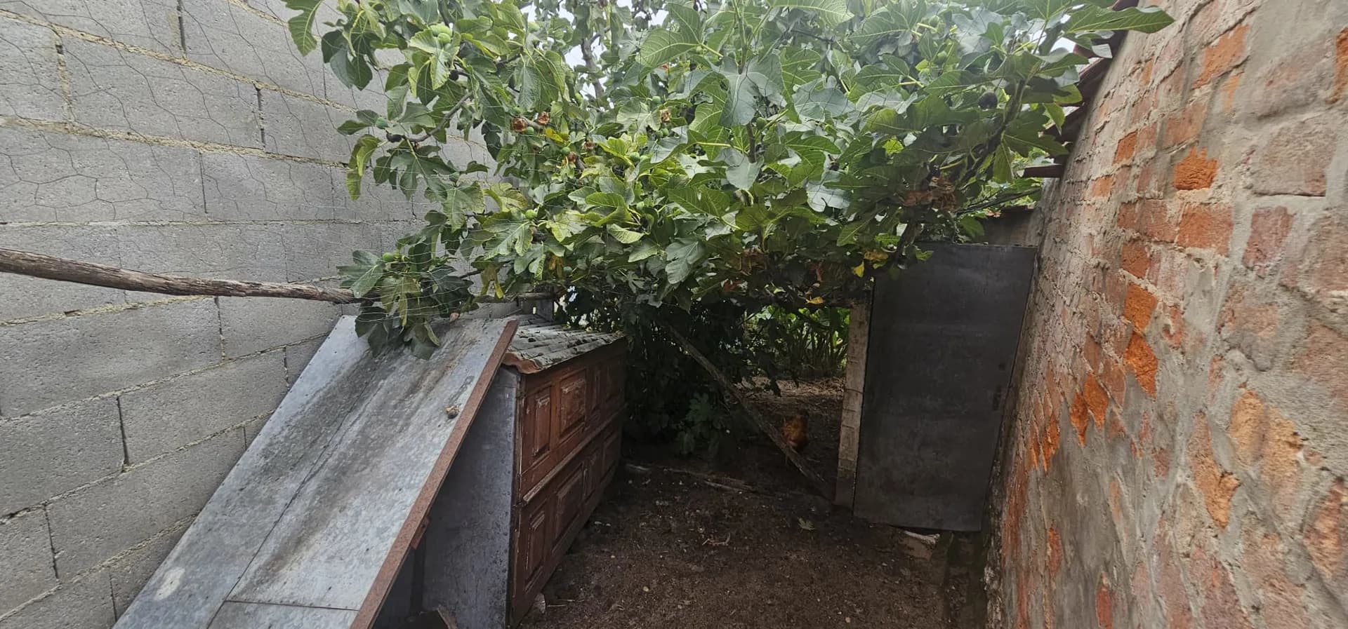Foto 21