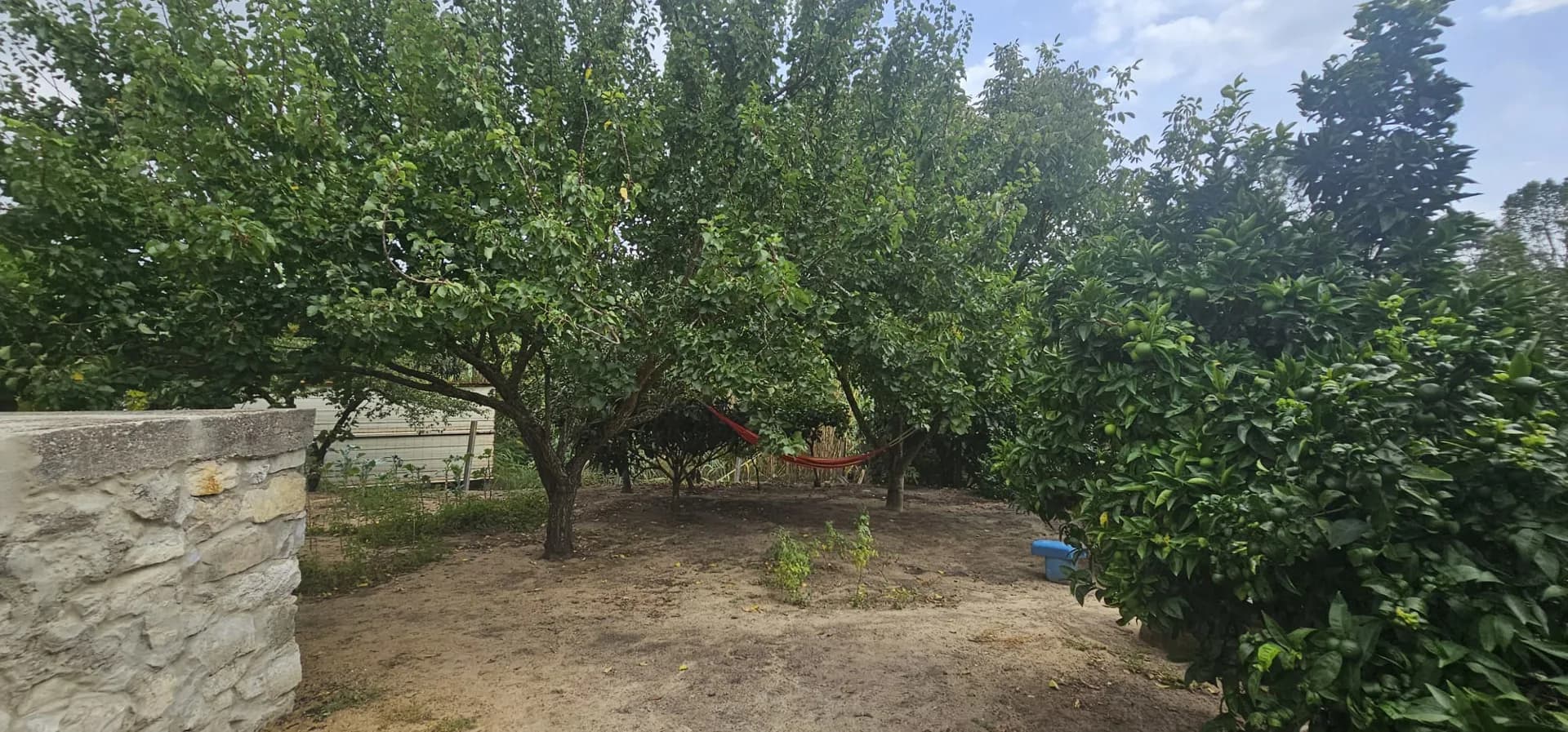 Foto 11