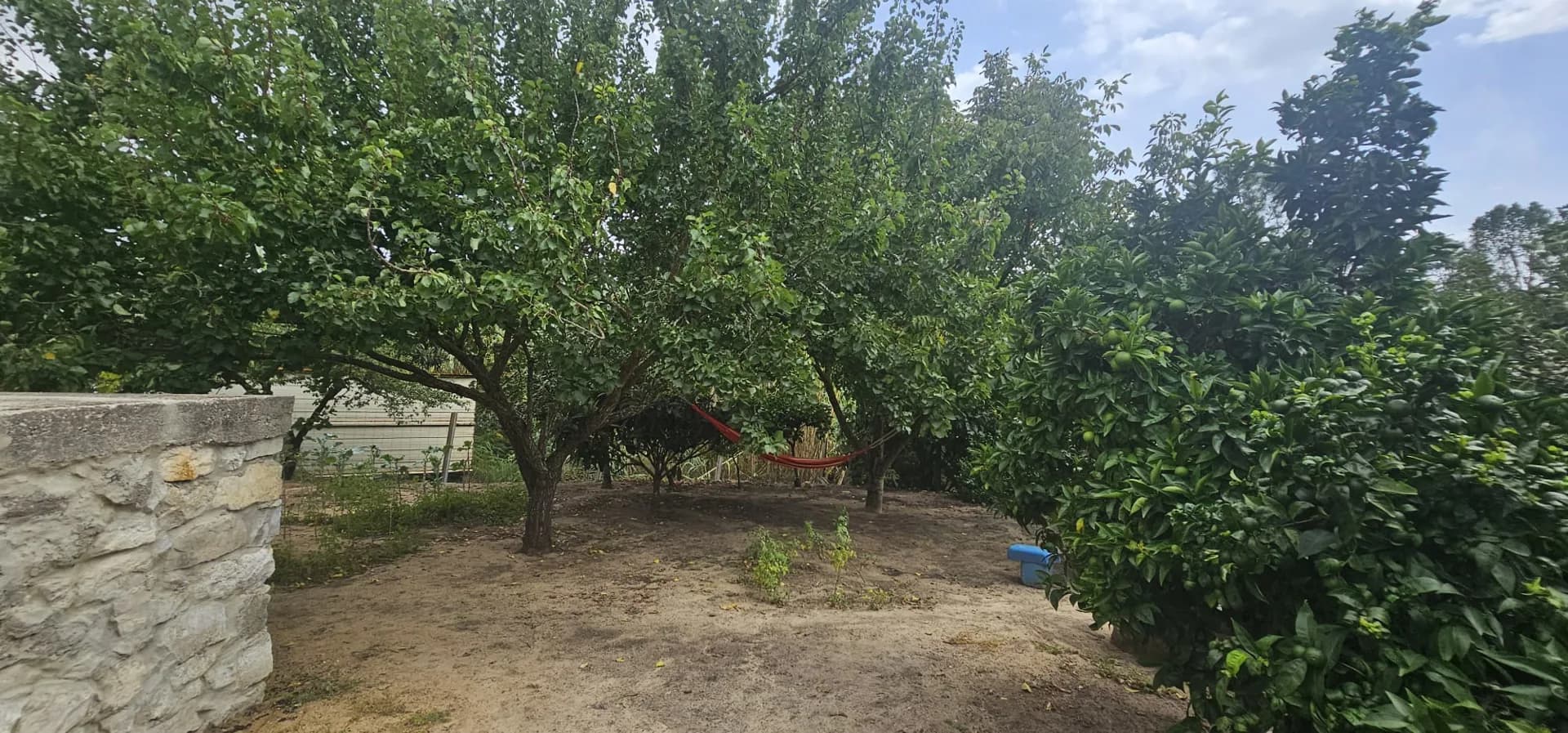 Foto 12