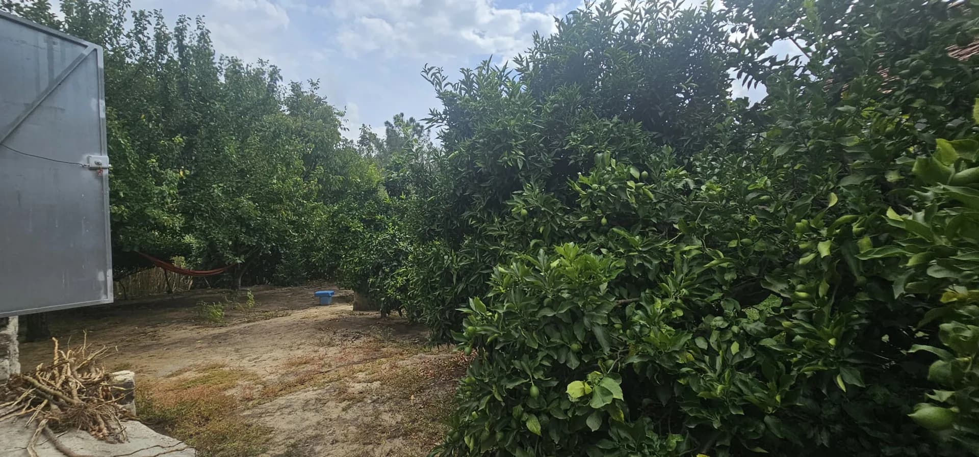 Foto 14