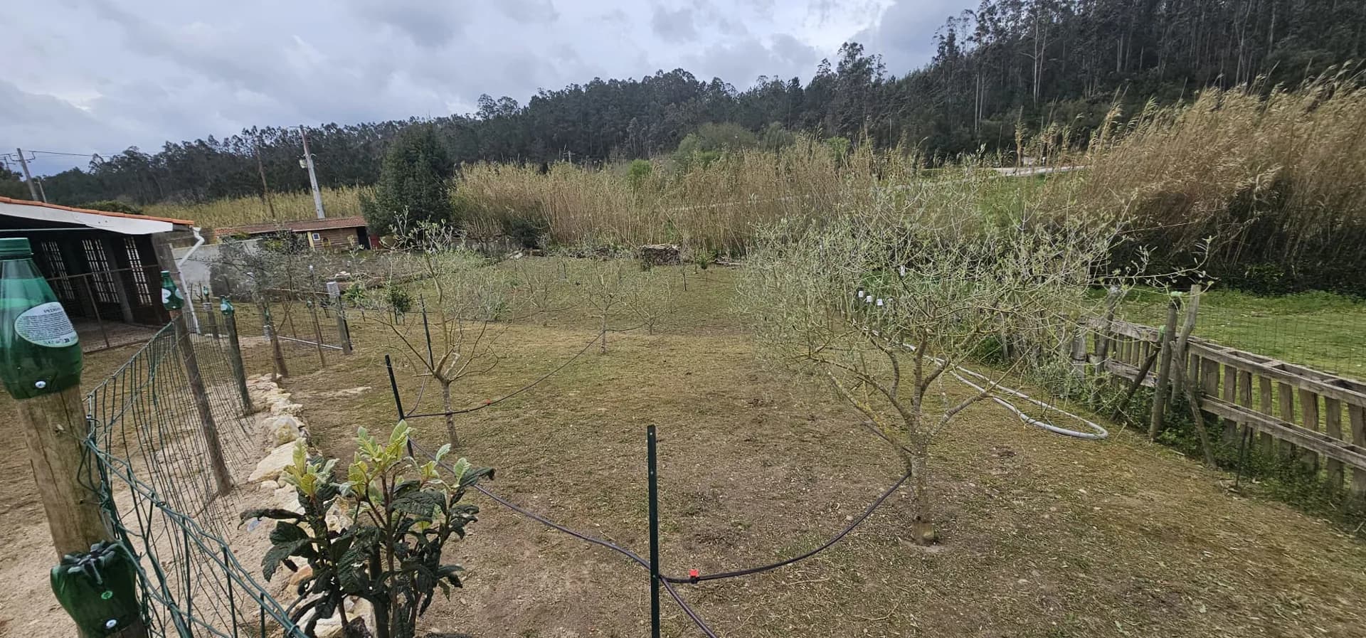 Foto 17