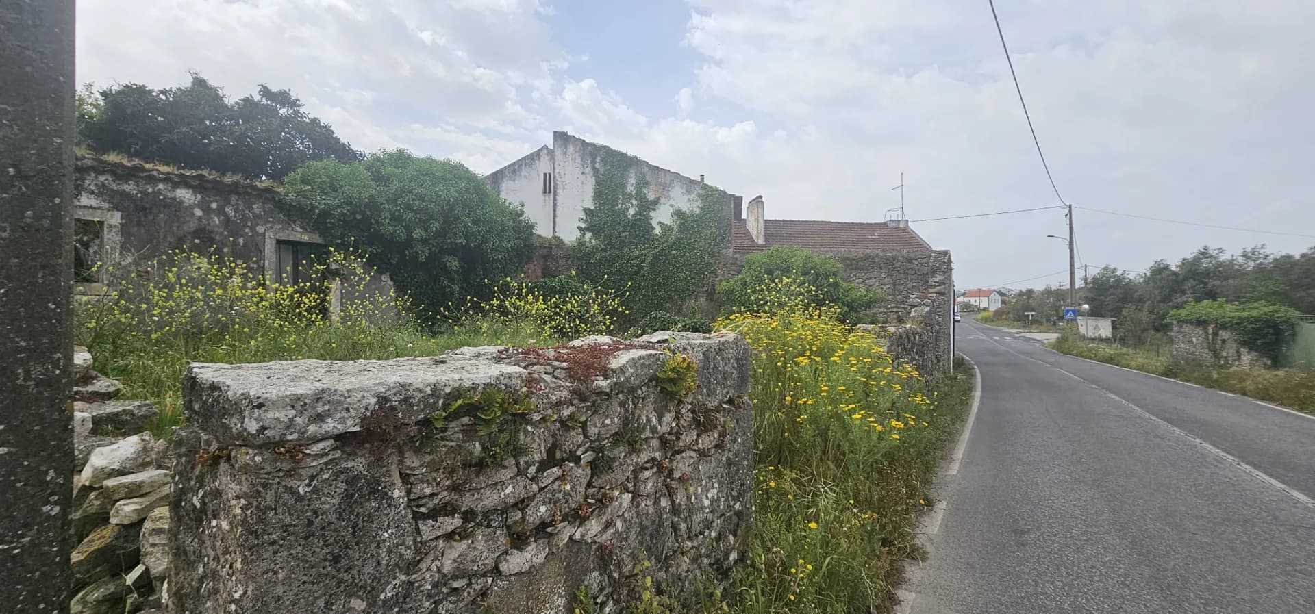 Foto 15
