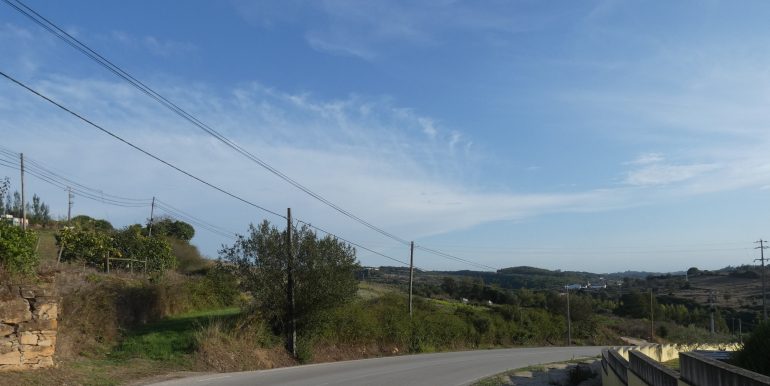 P1110140 (2)