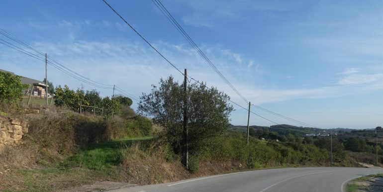P1110141 (2)