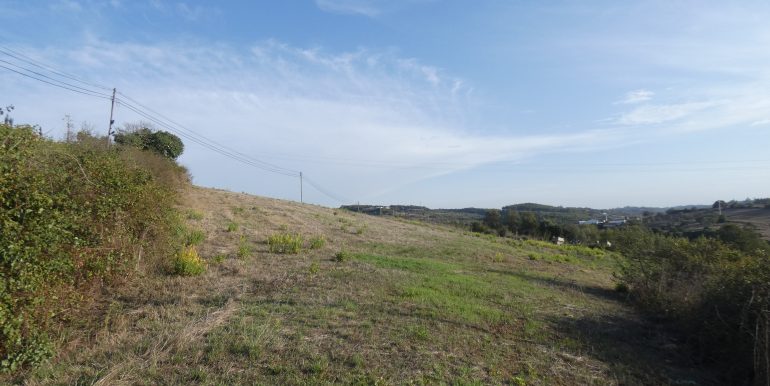 P1110143 (2)