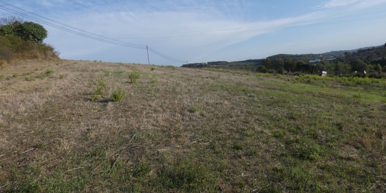 P1110144 (2)