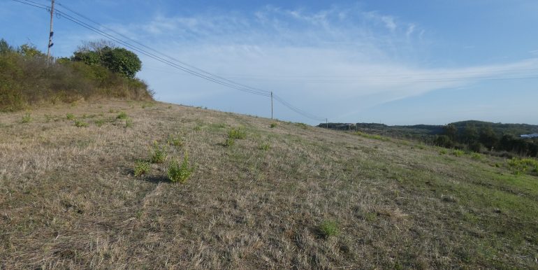 P1110145 (2)
