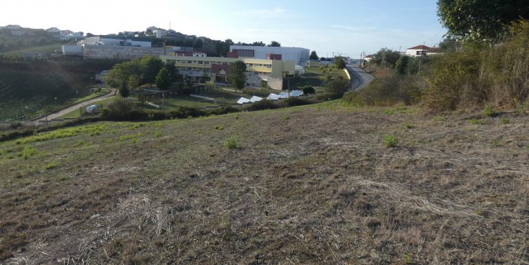 P1110147 (2)