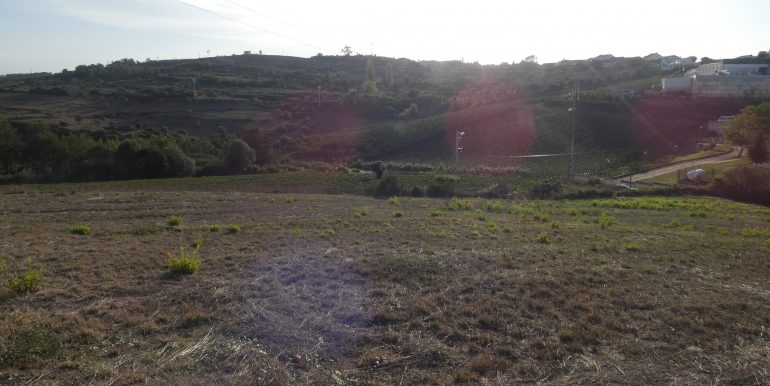 P1110148 (2)