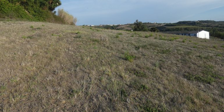 P1110151 (2)