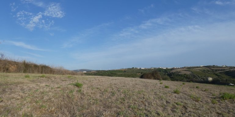 P1110154